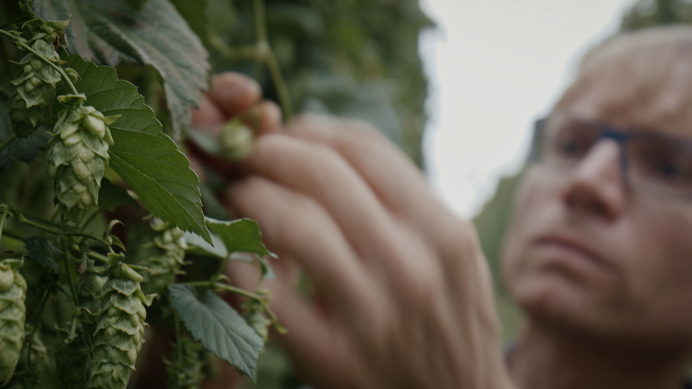 beer! a love story documentario birra