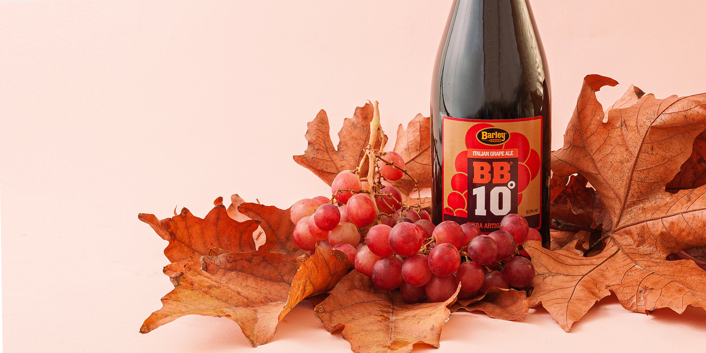 bb10 barley italian grape ale birra artigianale italiana