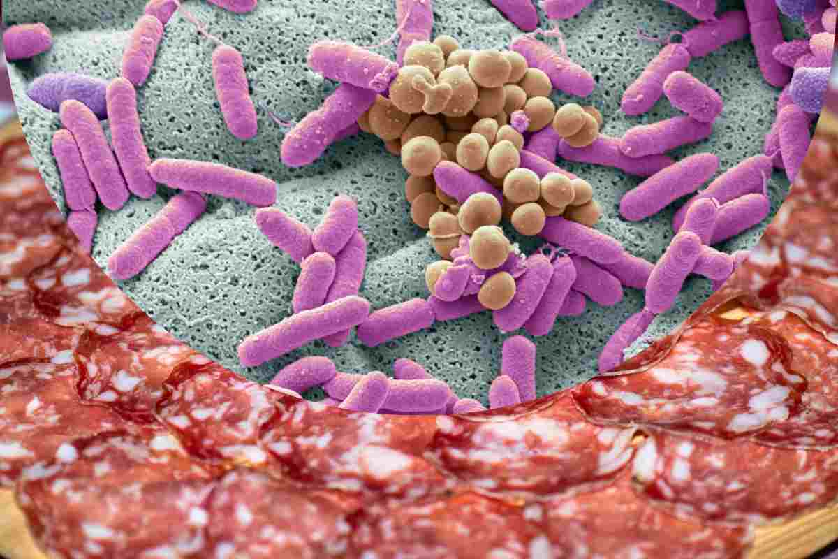 Salame e nel semicerchio batterio listeria