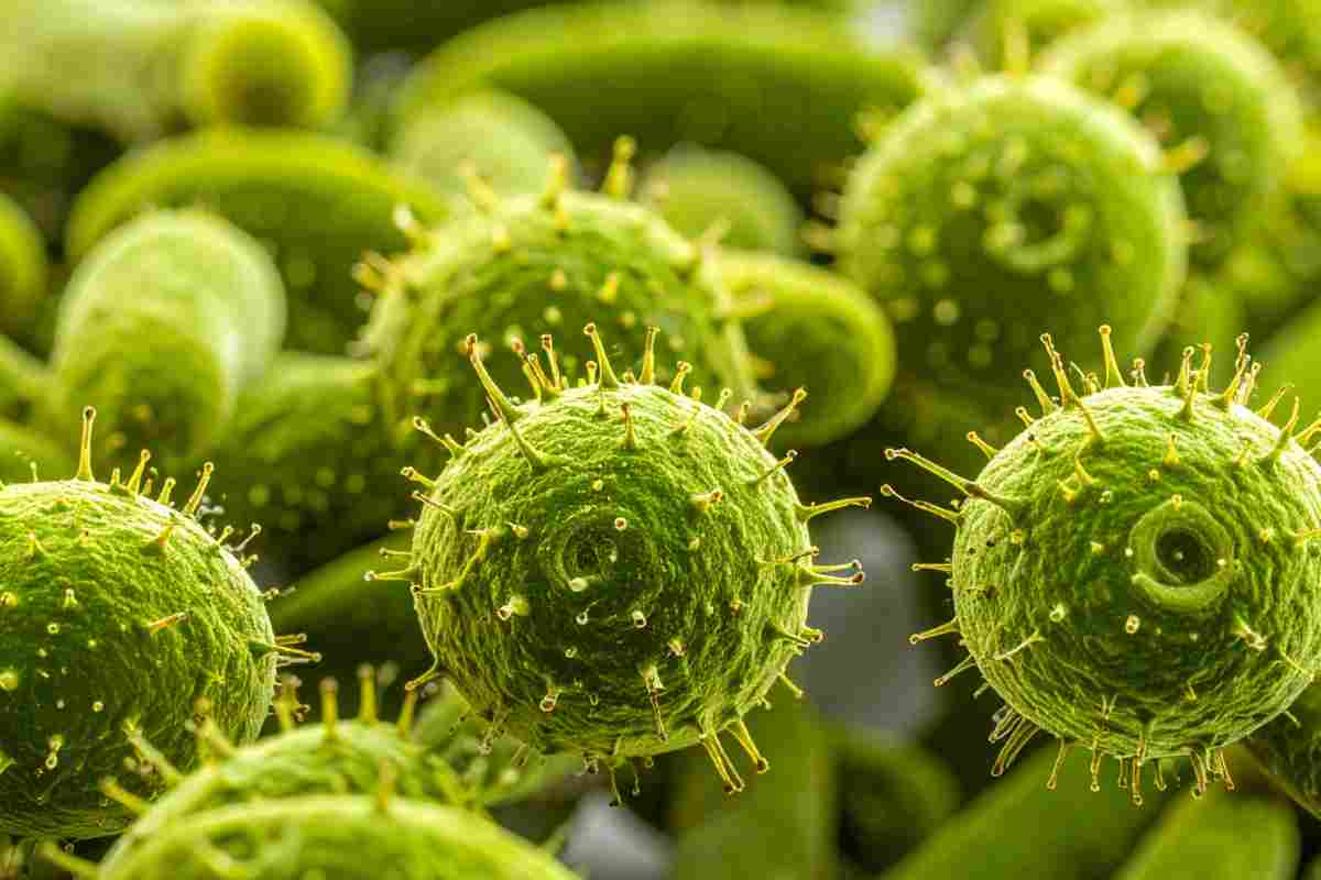 immagine grafica di germi e batteri