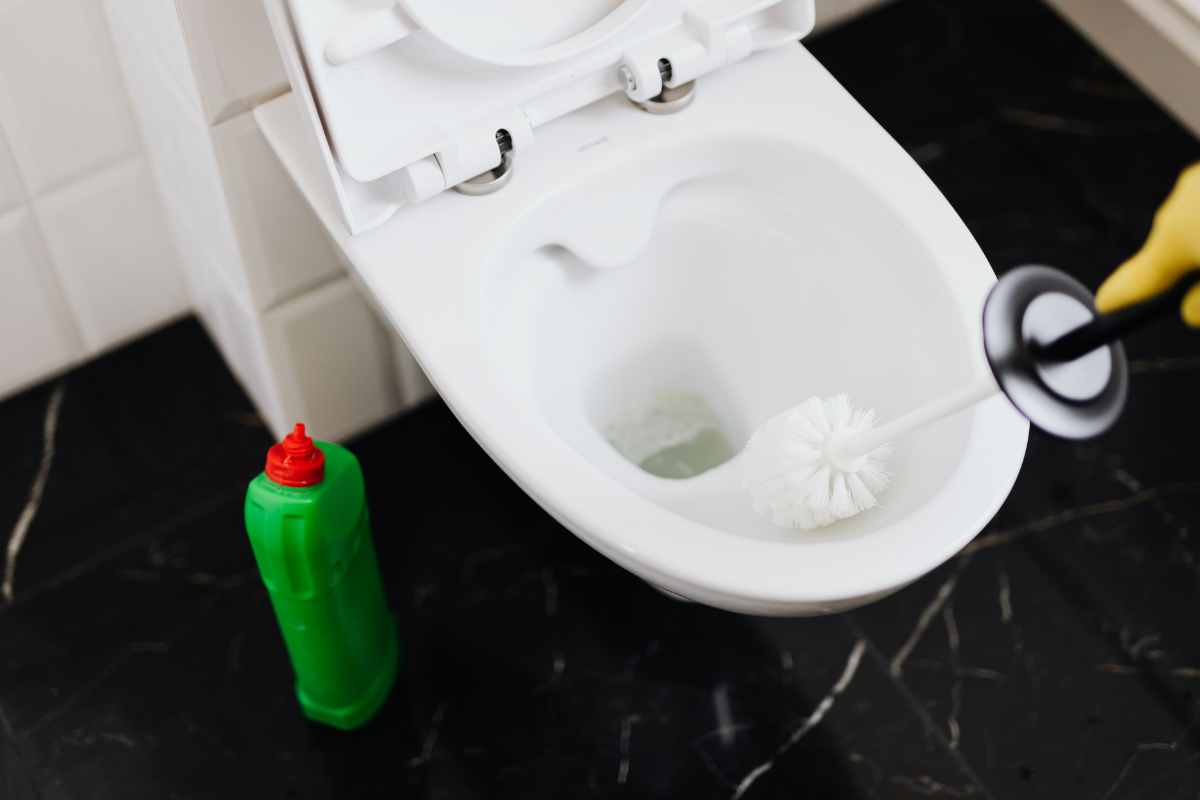 un wc con dentro lo scopino e affianco il detergente