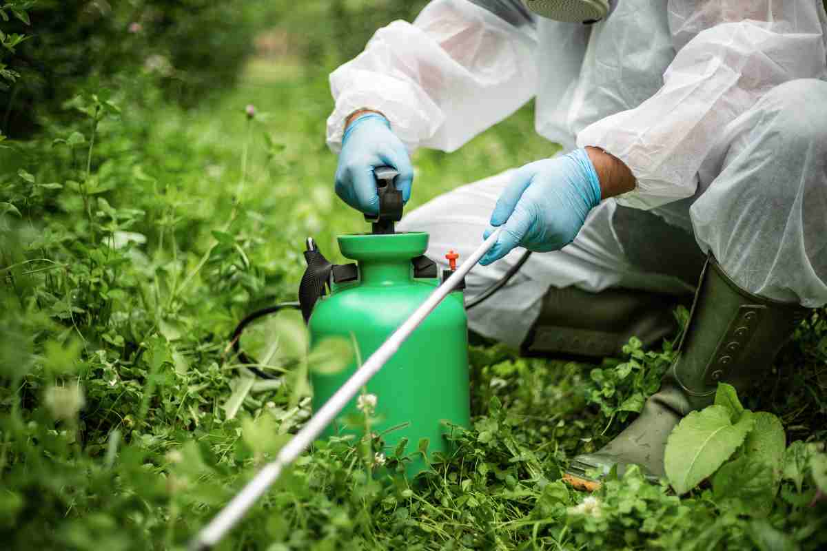 uomo pronto a spruzzare pesticidi