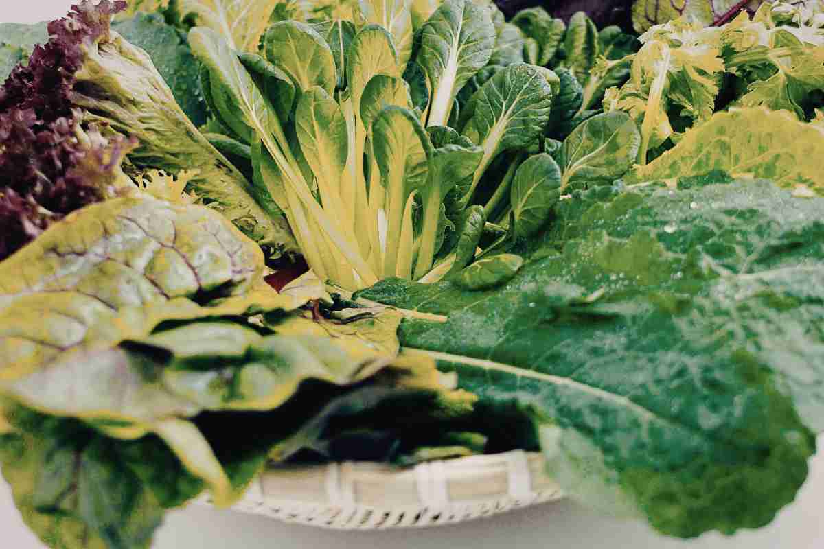 verdure a foglia verde