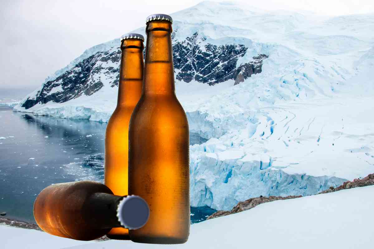 bottiglie di birra e sullo sfondo ghiacciai dell'antartide