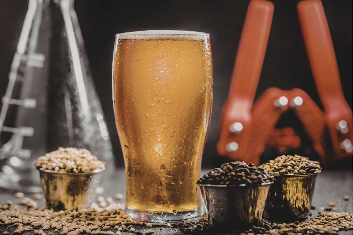 birra artigianale in bicchiere