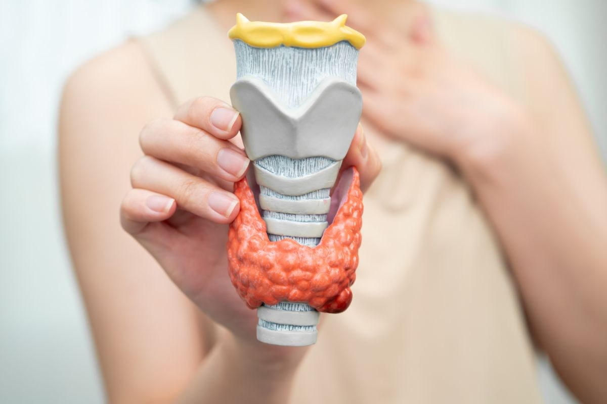 donna che mantiene in mano un modellino che rappresenta la tiroide